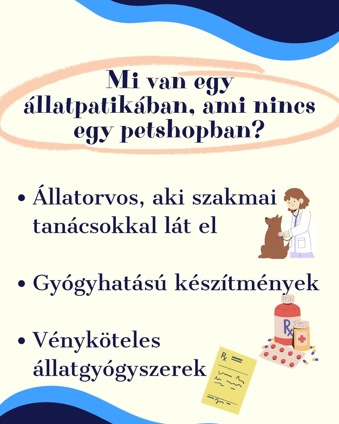 Mi van egy állatpatikában, ami nincs egy petshopban?